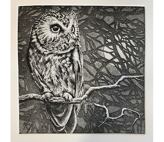 "Song of the Saw-Whet Owl" - Kathy Anderson